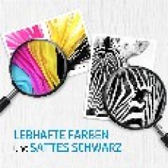 TIN HP 303 Photo Value Pack black, cyan, magenta, yellow + 40 Blatt/10x15cm Papier Z4B62EE