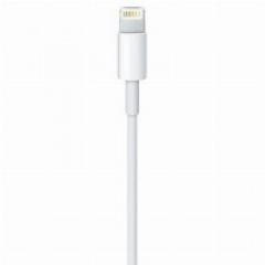 Apple Lightning - USB Kabel 0,5M Rtl