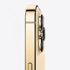 TEL Apple iPhone 13 Pro Max 256GB (gold) *NEW*