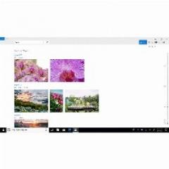 Microsoft Windows 10 Pro 32/64 Bit - 1 PC - ESD-Download ESD