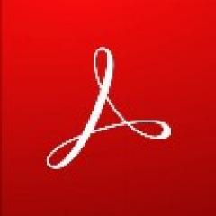 Adobe Acrobat Pro 2020 - 1 PC, perpetual - ESD-Download ESD